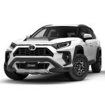 Toyota RAV4 by Climate 2019 года